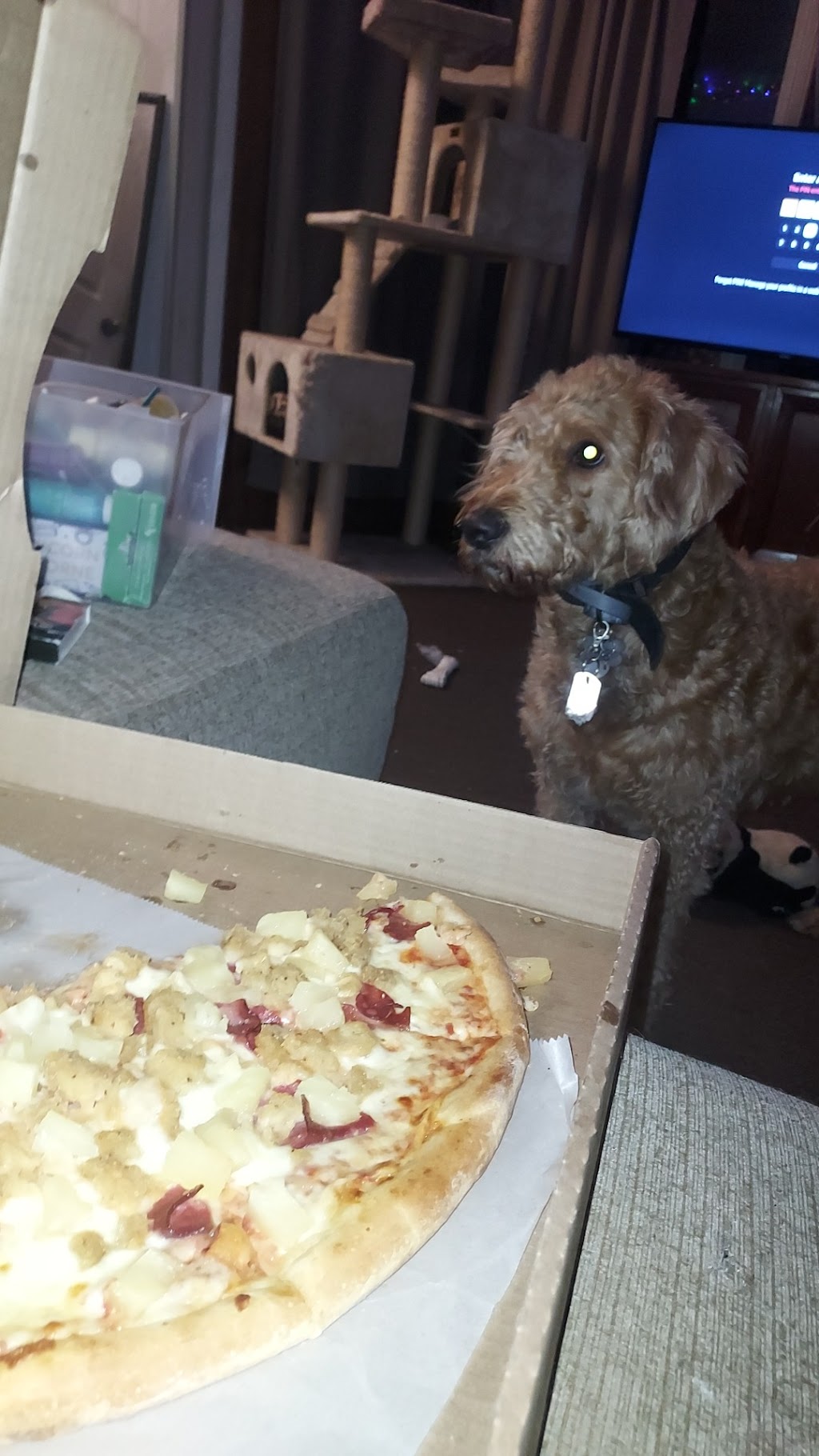 Amante Pizza
