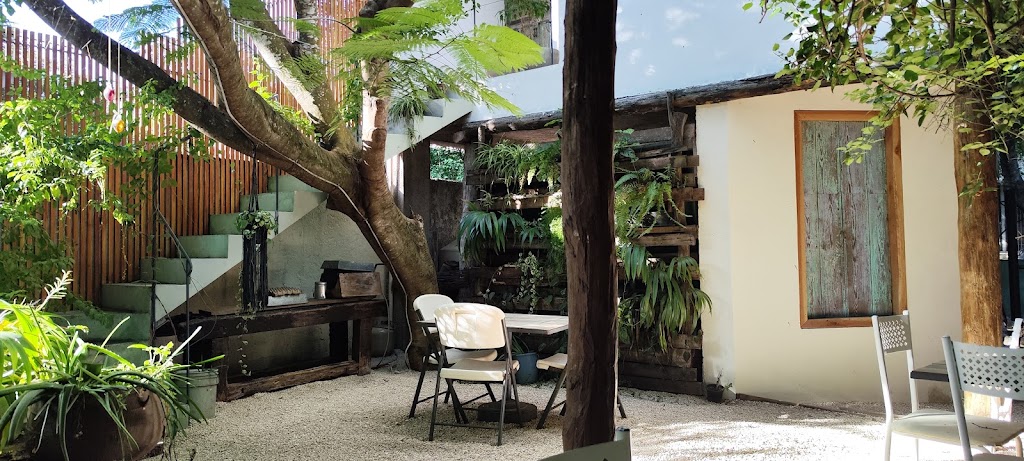 La Casa Natural