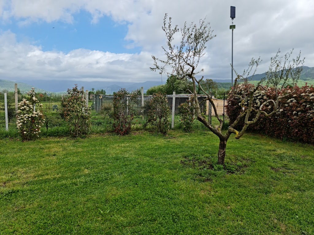 Patenora, Via Porta Soccorso