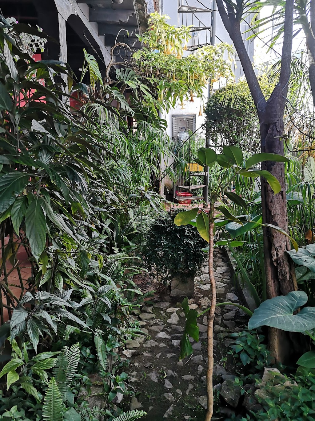 Casa Utrilla