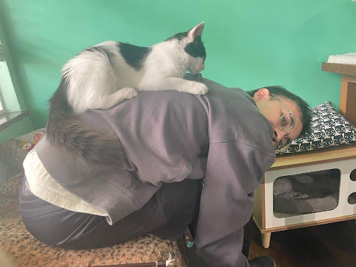 Good Luck Cat Cafe