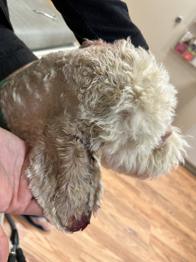 Mudpuppy's Tub & Scrub