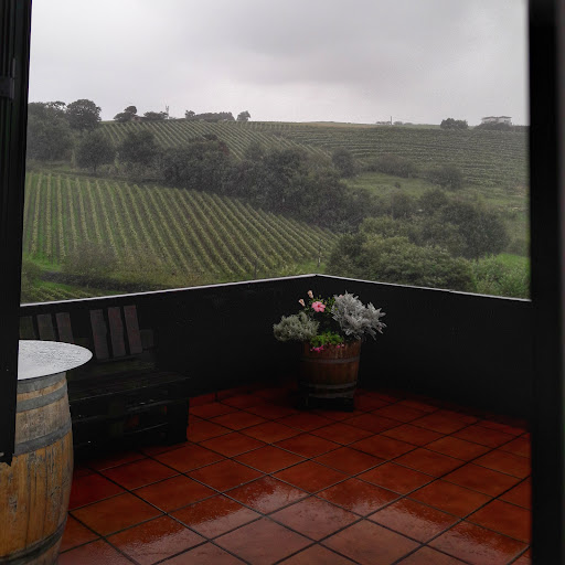 Txakoli Talai-berri, Zarautz