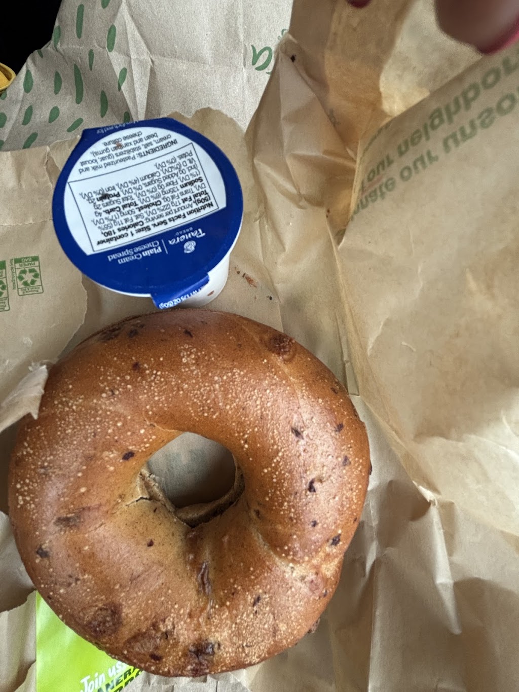 Panera Bread, Glenmont, NY