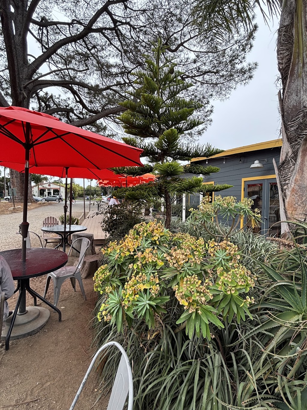 Lucky Llama Coffee House