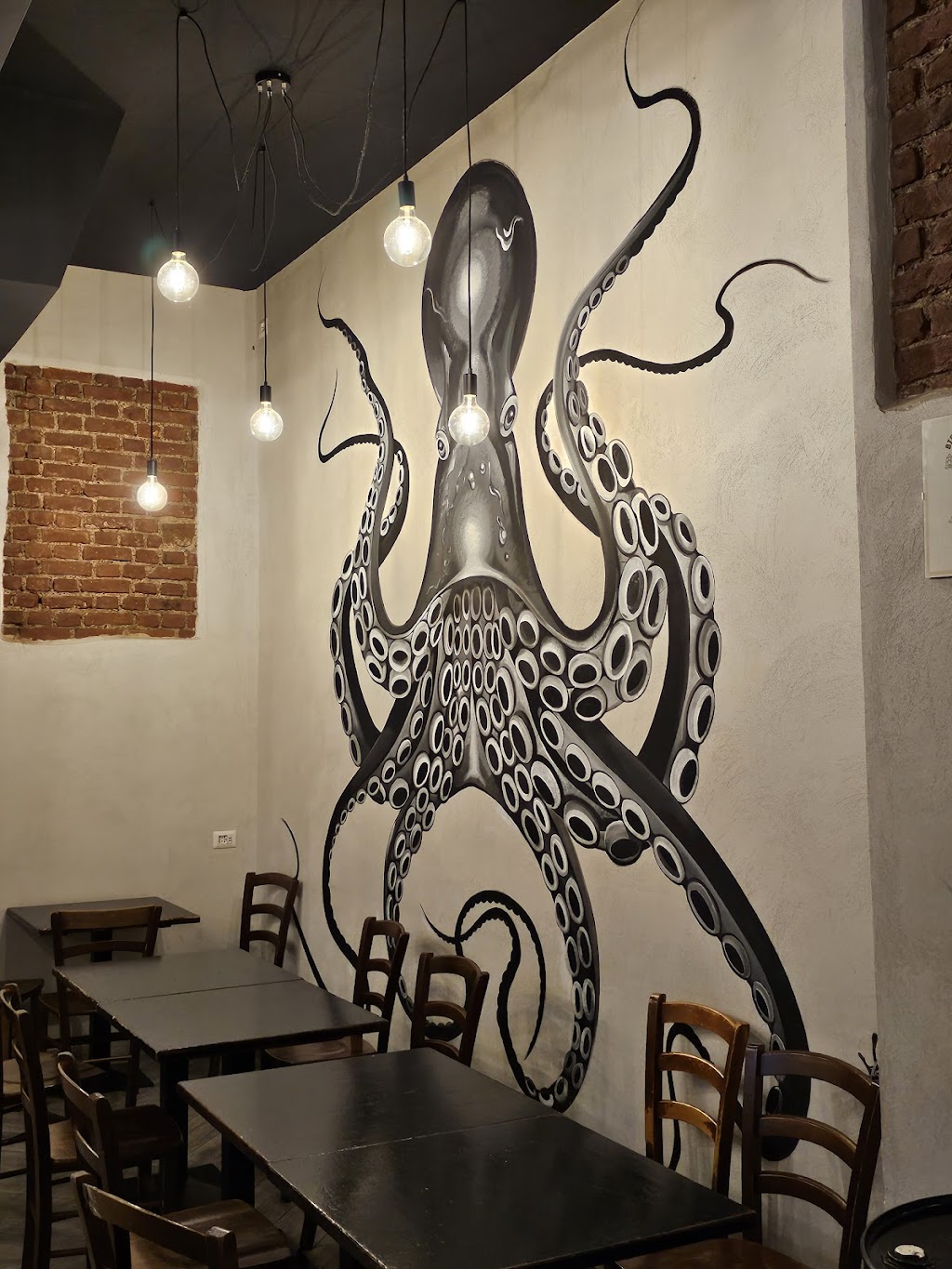 Octopus