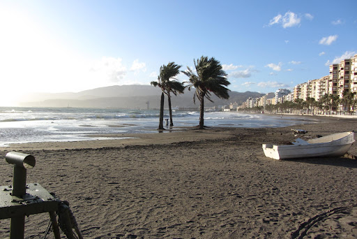El Palmeral