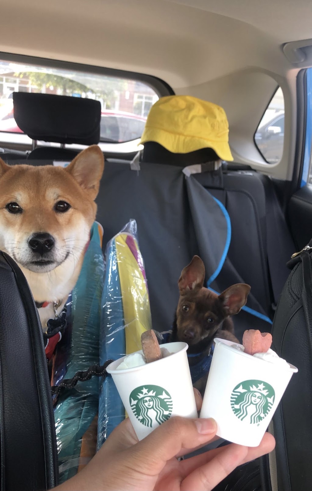 Starbucks