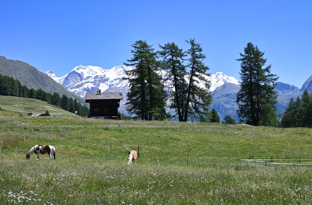 Agriturismo La Maison du Braconnier, Antagnod