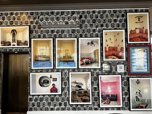 The Cat Café South Beach