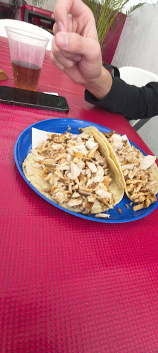 Carnitas tulipanes