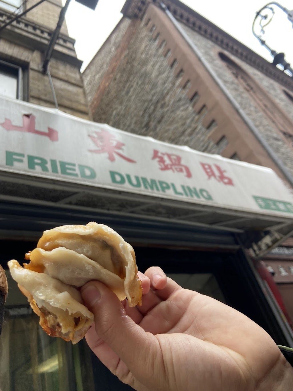 Fried Dumpling