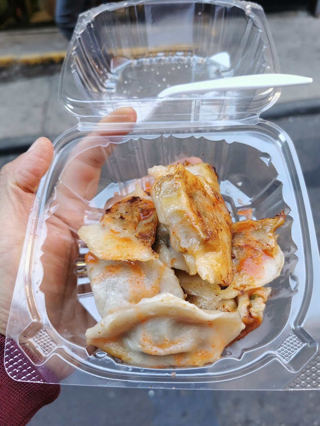 Fried Dumpling