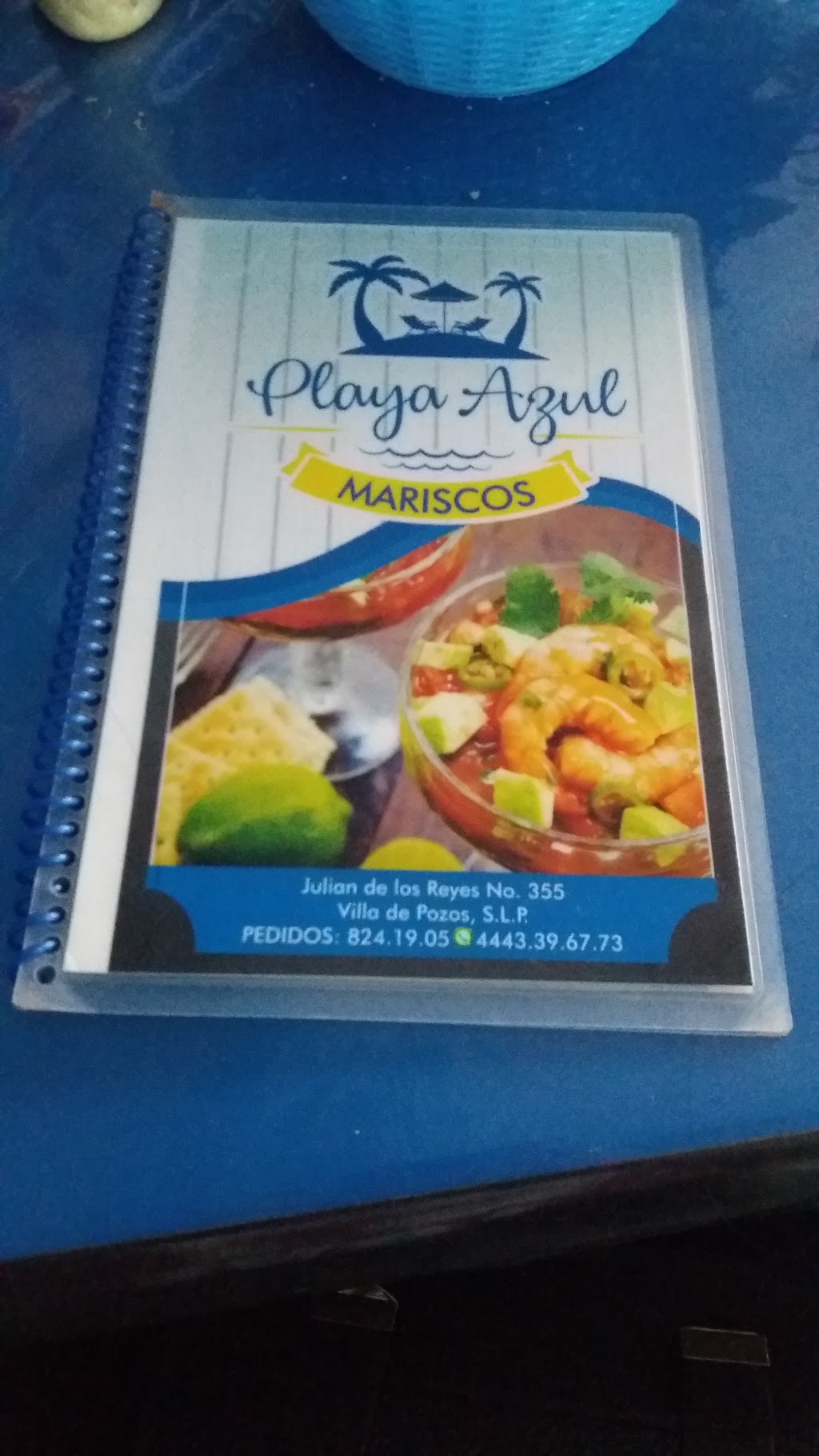 Mariscos Playa Azul