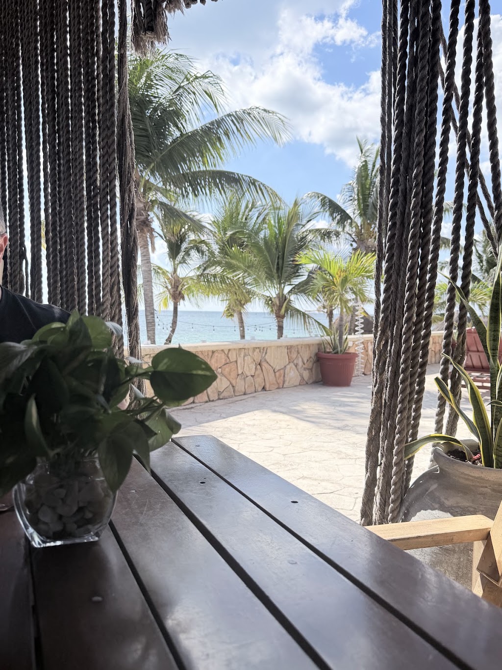 Fork, Puerto Morelos