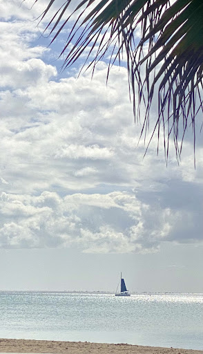 Beach Club h2o