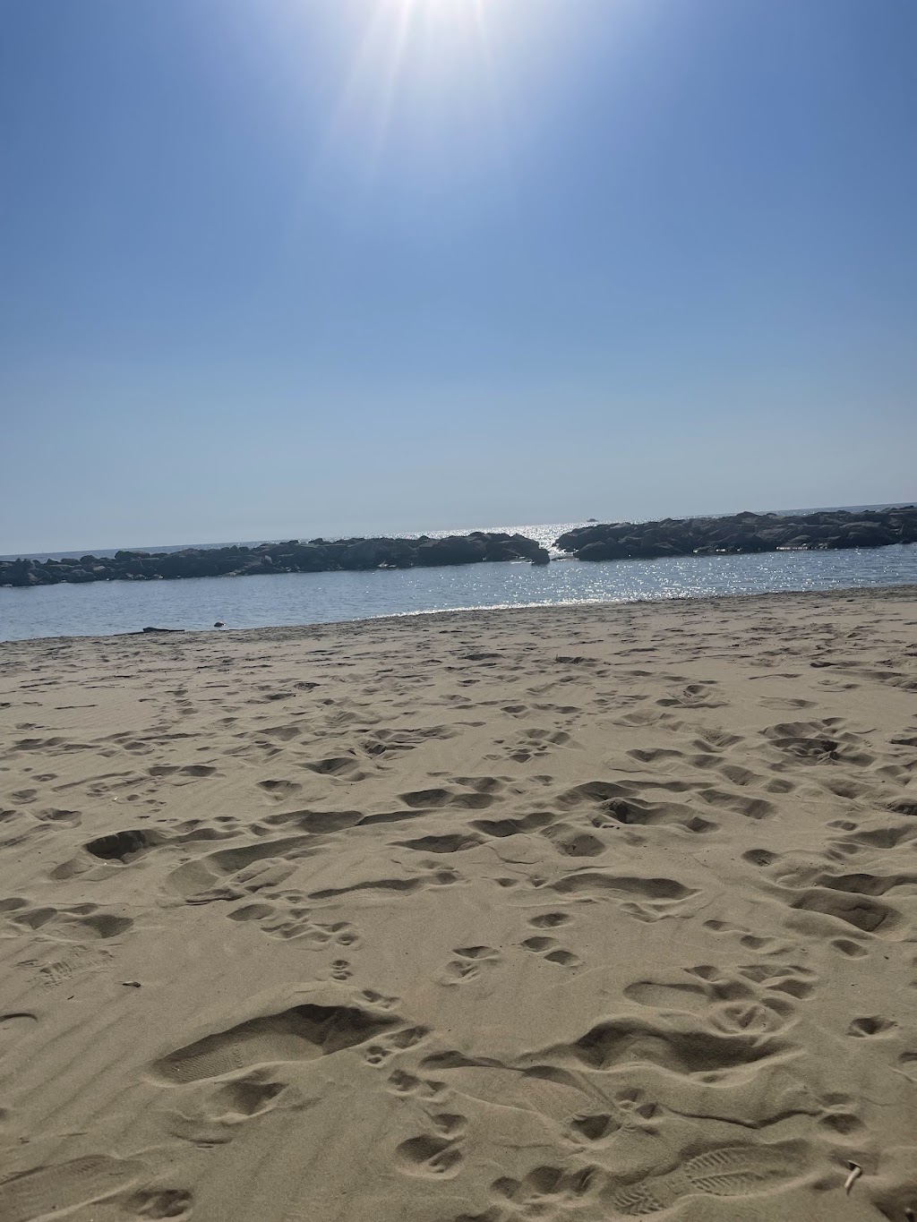 Bagni Euro Nettuno Beach- Ristorante la Risacca del Nettuno