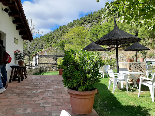 Bar-terraza Pont Nou