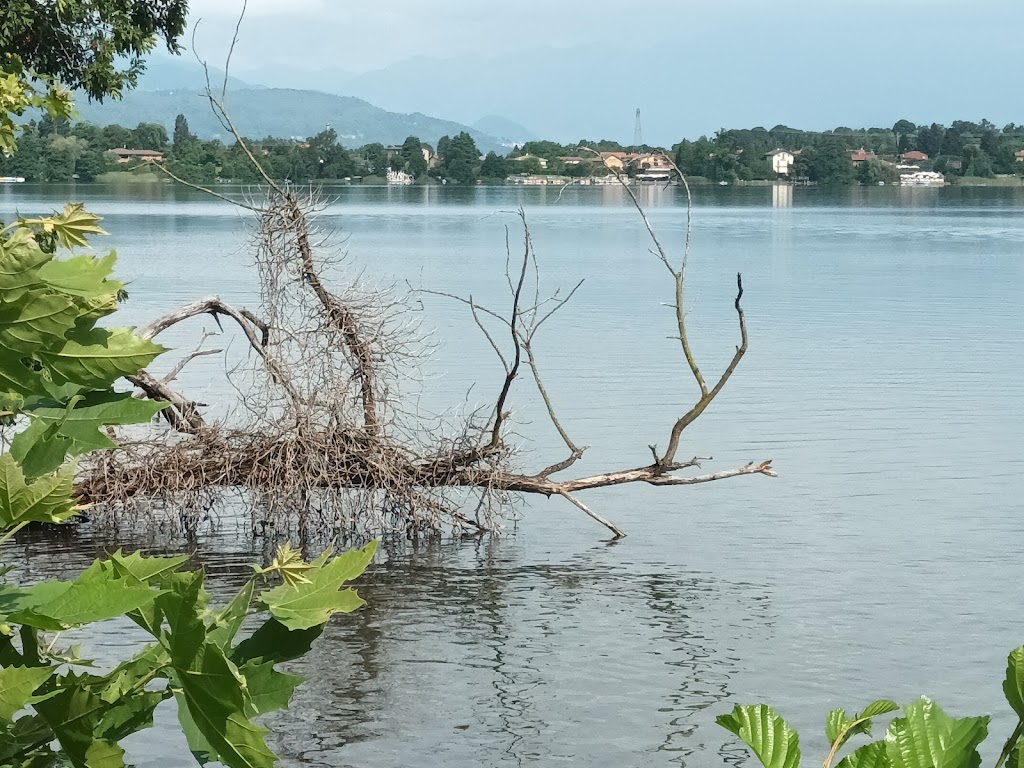 Mediterraneo