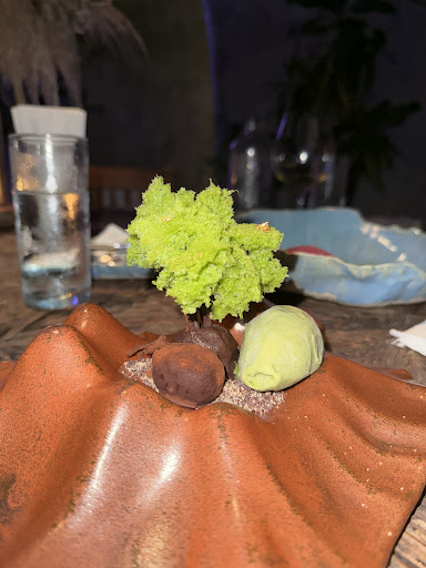 Jungle Cuisine