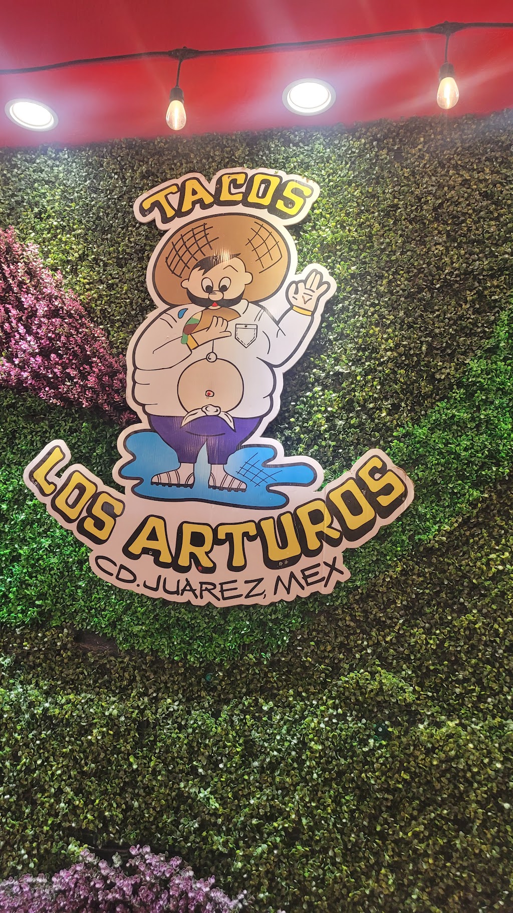 Los Arturos