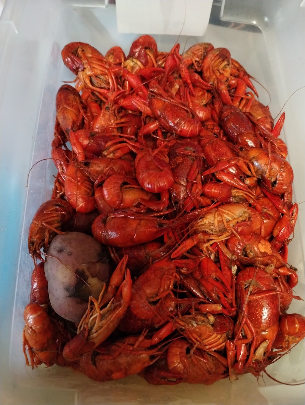 Honore's Cajun Cafe, Highway 6, TX