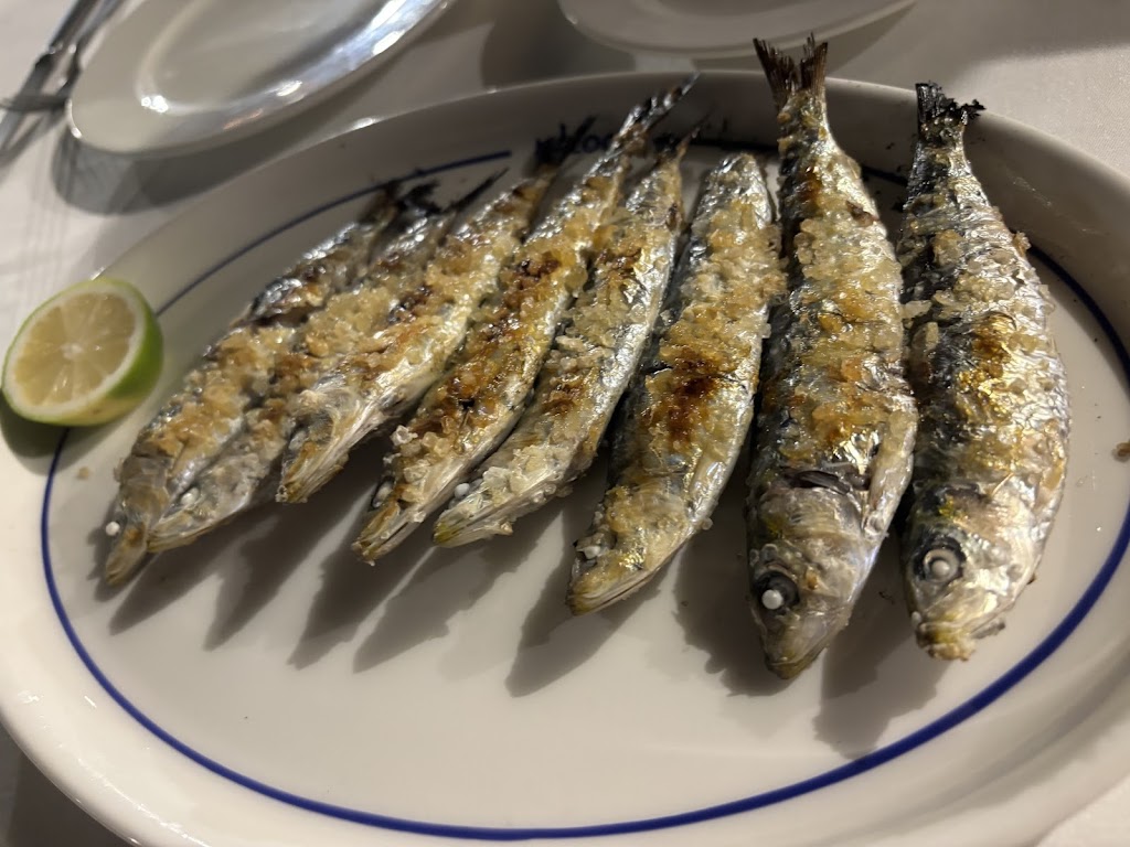 Maloca