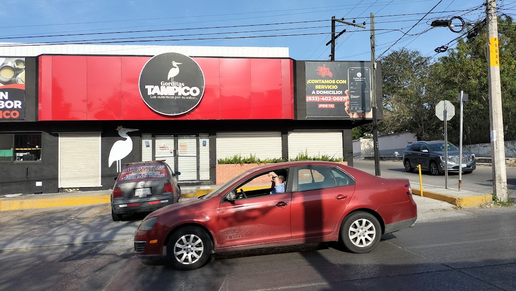 Monte Alto Sector 2, Tampico