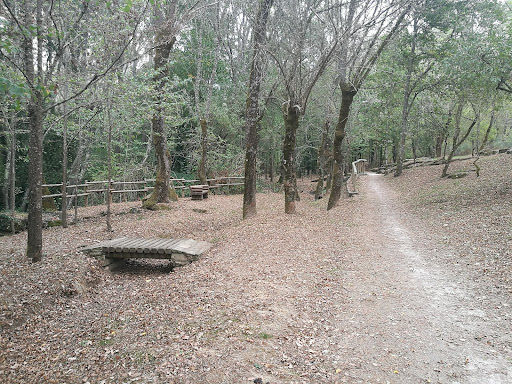 Fonte