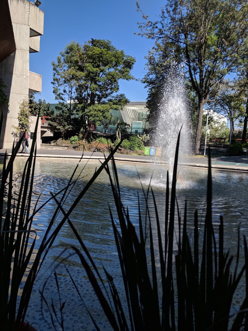 Coyoacan Centro, Mexico City