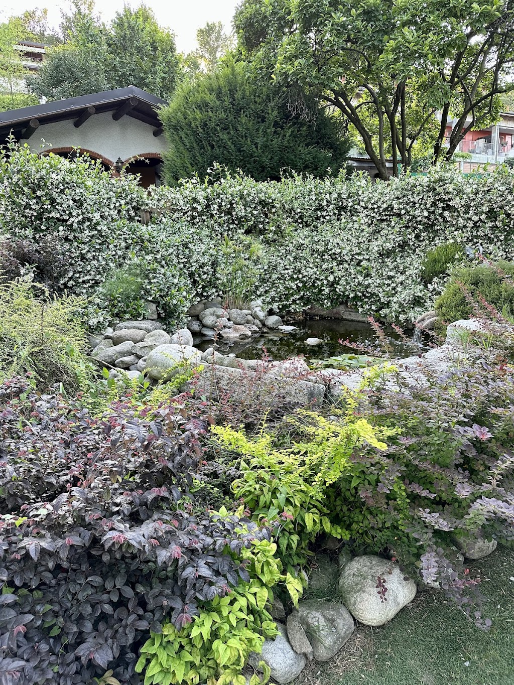Cà Mia