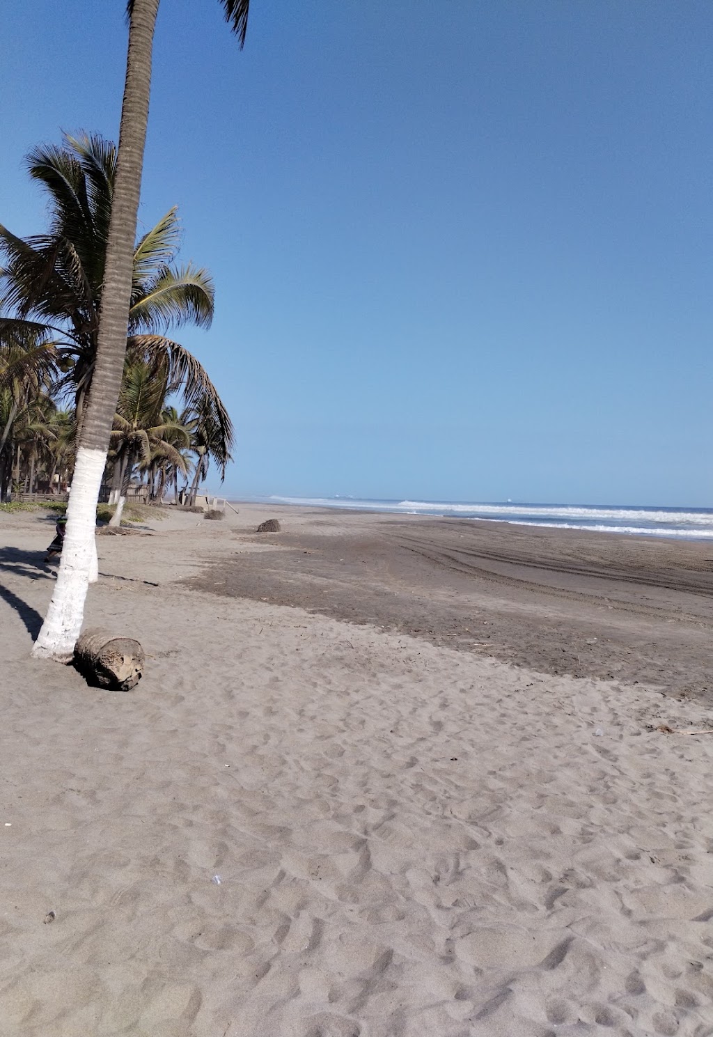 Langostinos, Lázaro Cárdenas, Mexico