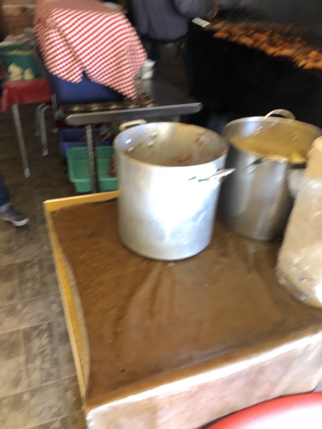 Pollos Ixchel