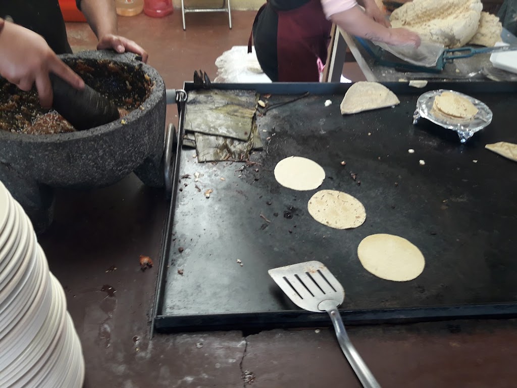 Cuitlahuac, Juriquilla
