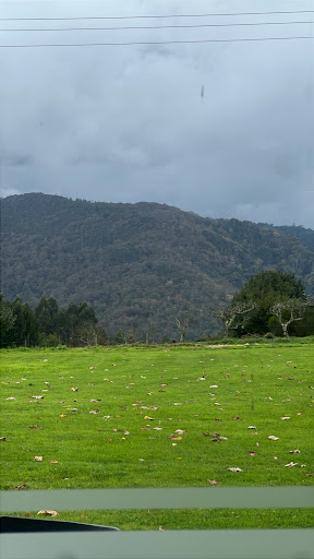Mesón O Pazo