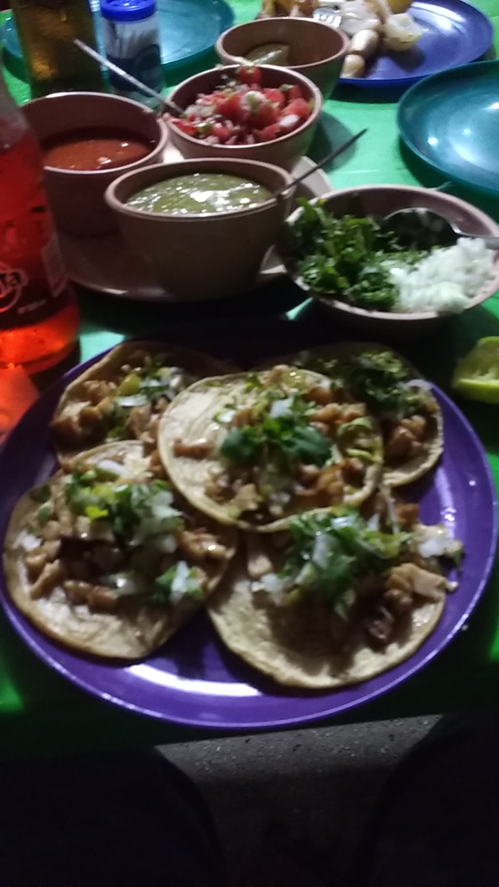 El Jarocho