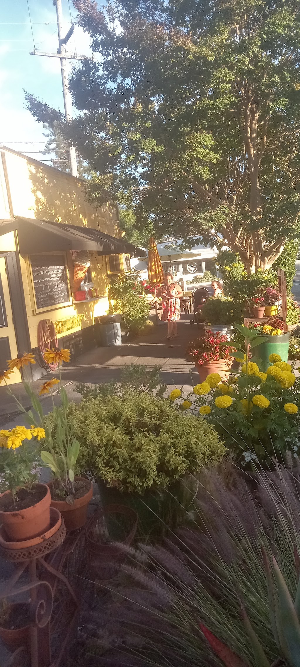 Superburger, Santa Rosa, CA