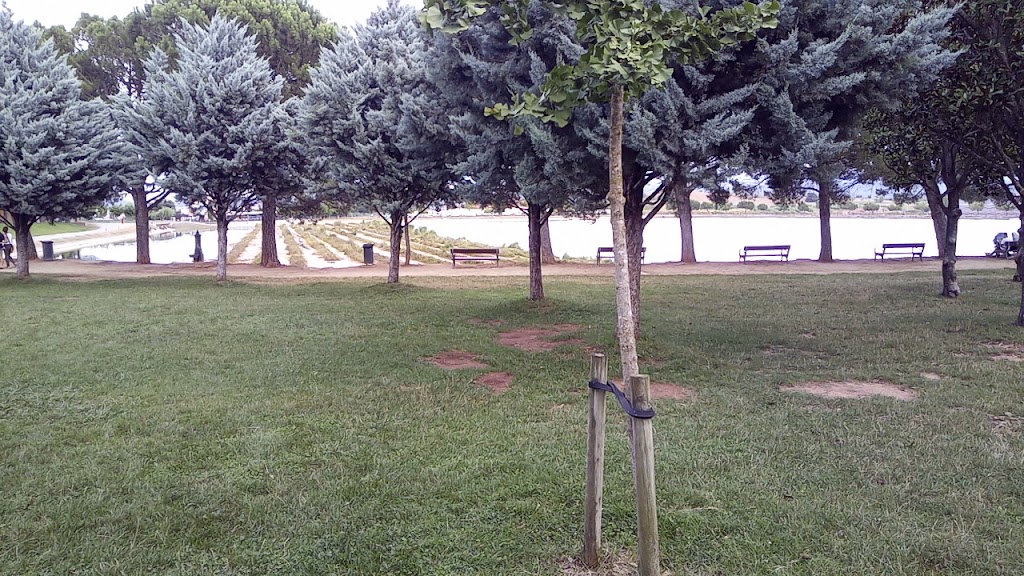 Berenador del Parc de l'Agulla