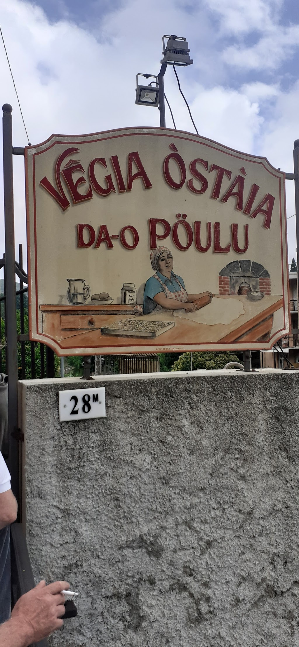 Ostaia Vegia