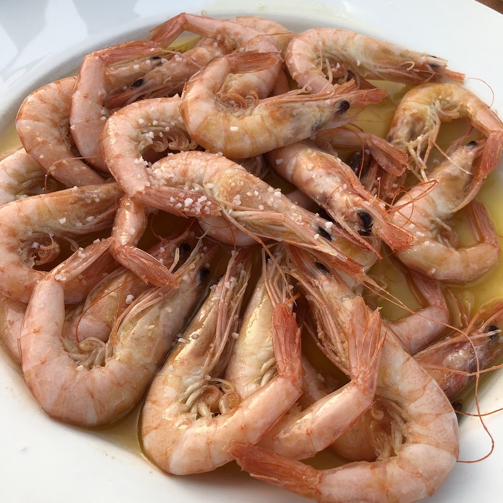 Doña Gamba, El Rompido