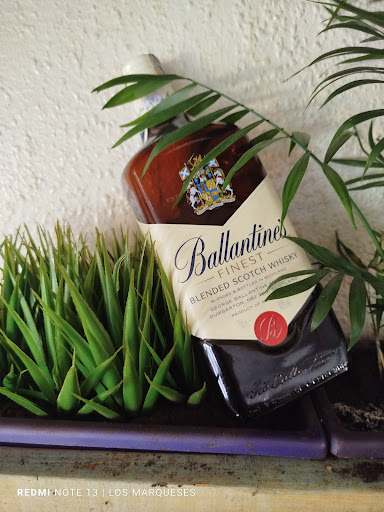 Bar Trenti