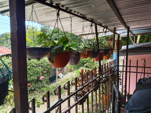 El Ocañero