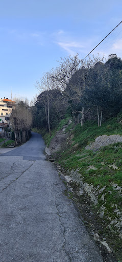 Algorri