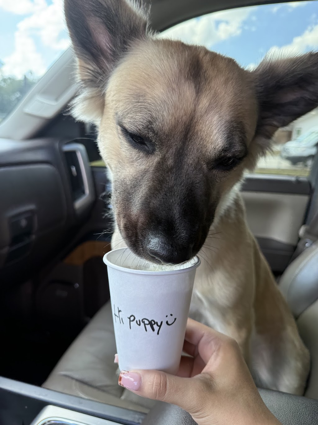 The Cajun Coffee Shack