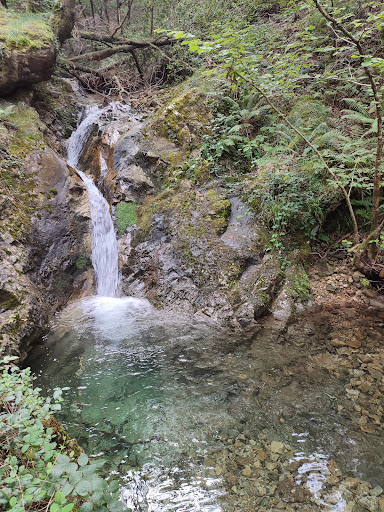 Arditurri