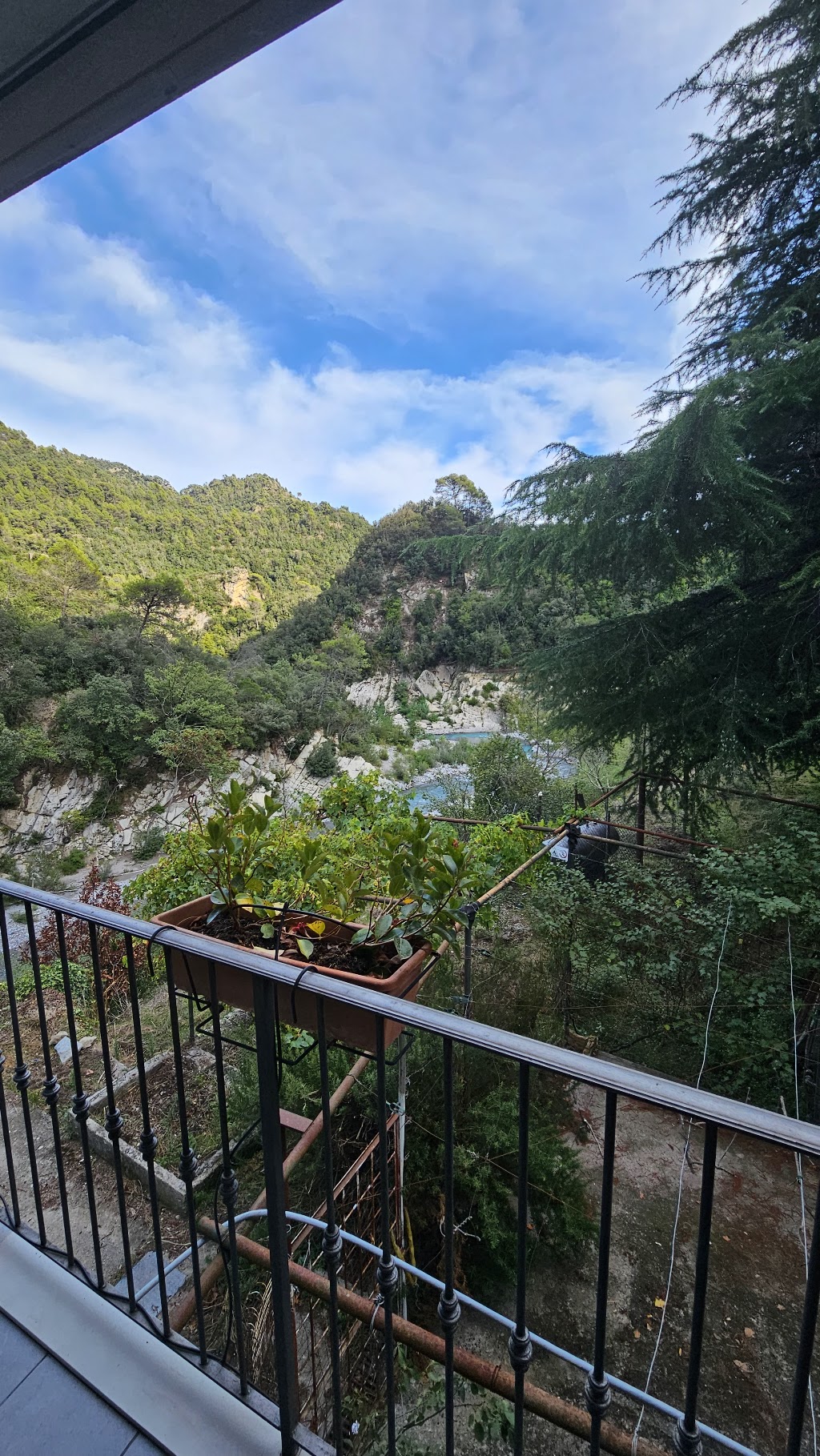 Bar Tabacchi, Olivetta San Michele