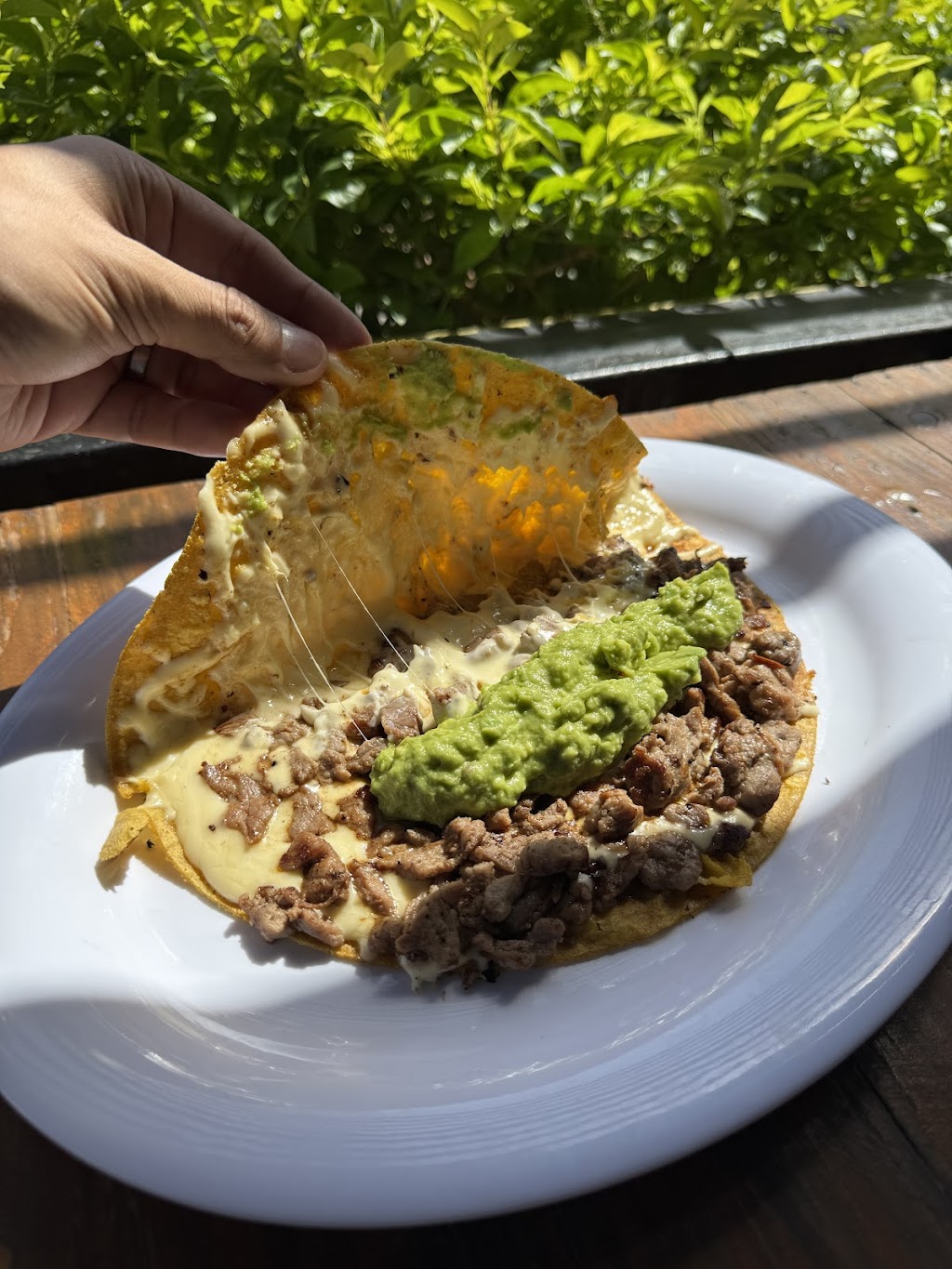 La Taque