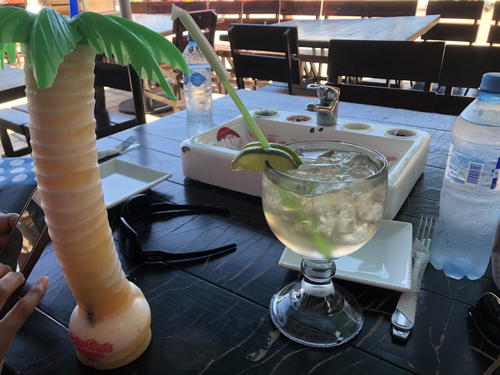 Señor Frogs