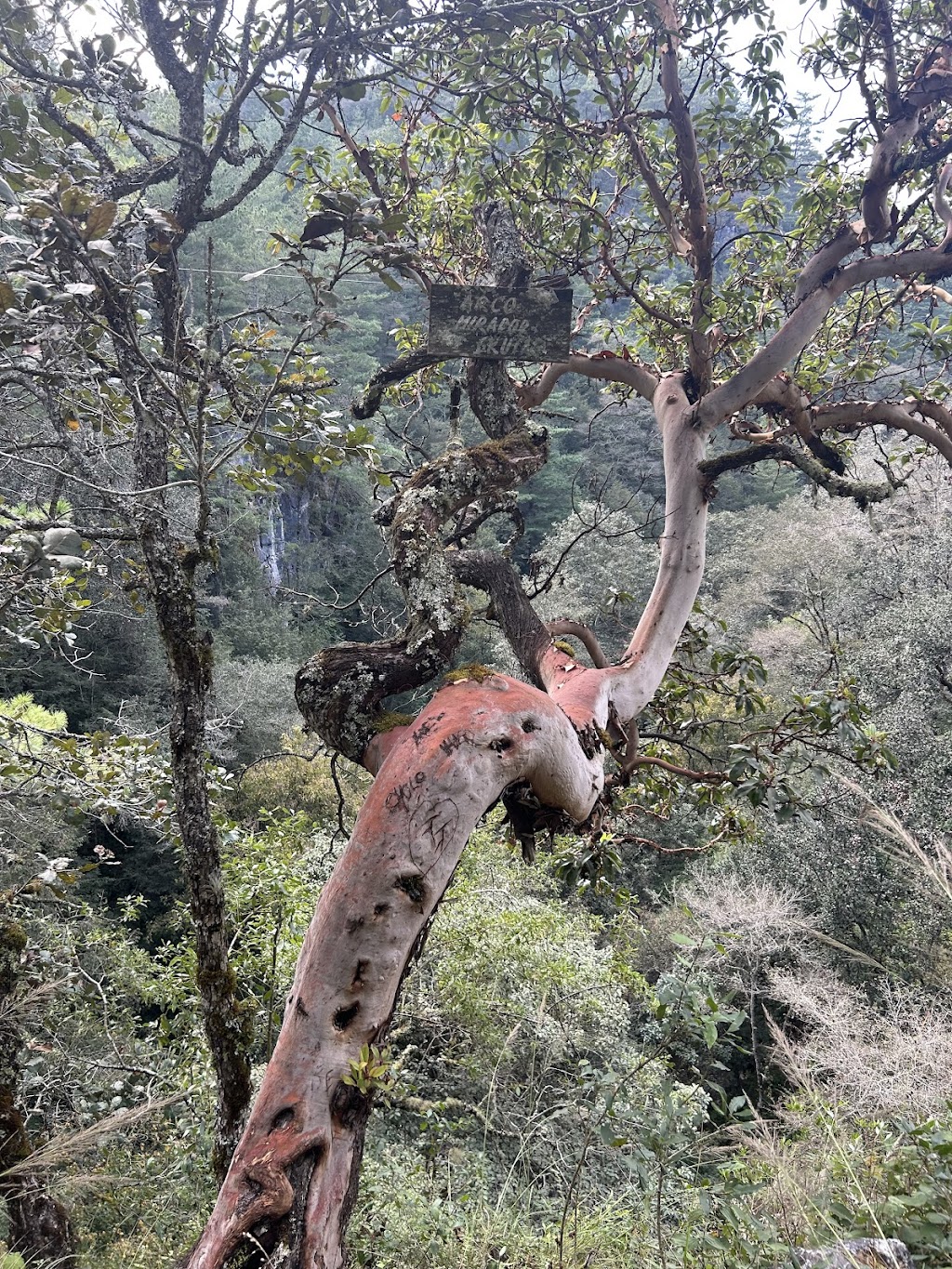 La Caverna de los Antepasados