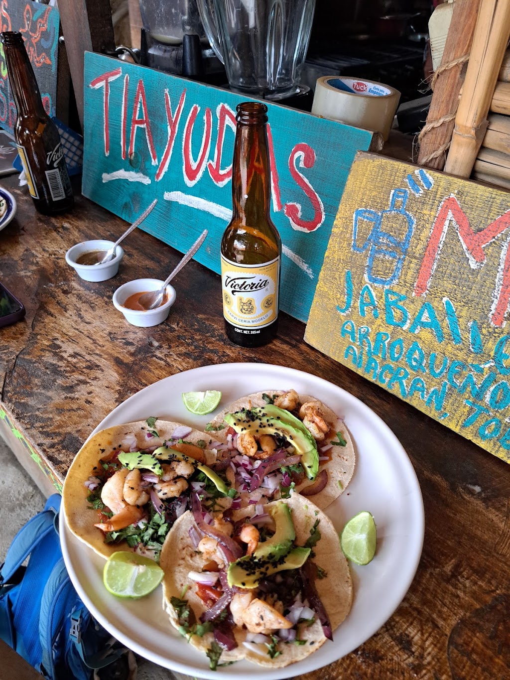 Palapa Cometa